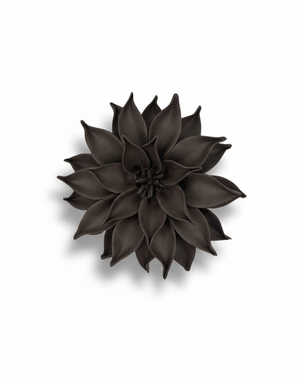 Dahlia in Black