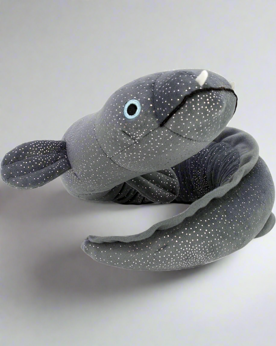 Ellie the Longfin Eel