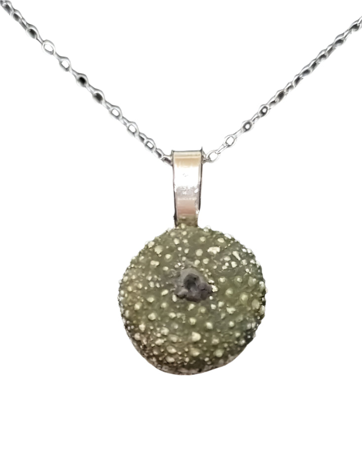 Tiny Whole Kina Silver Necklace