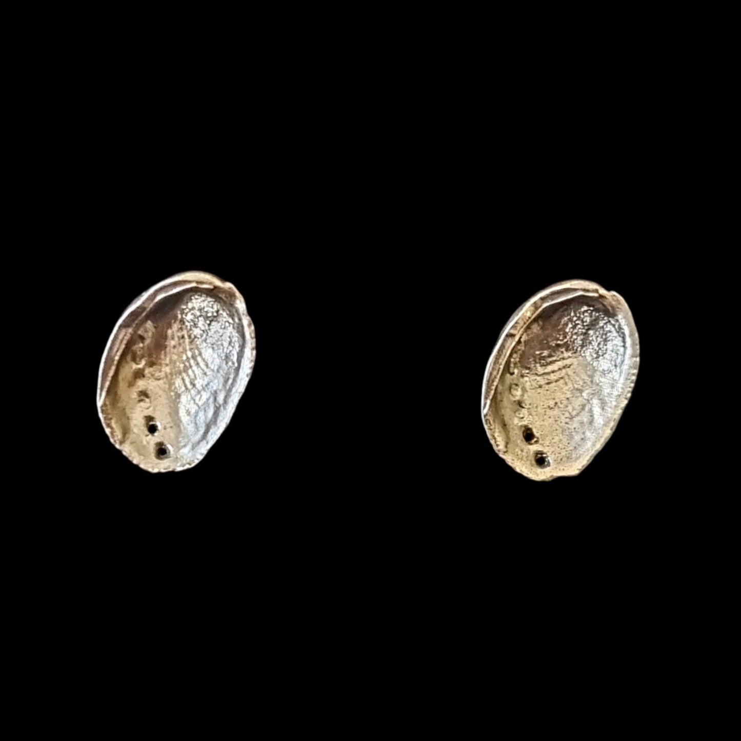 Paua Shell Oxidised Silver Studs