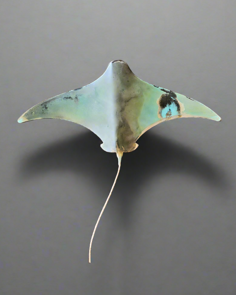 Copper Stingray XXL