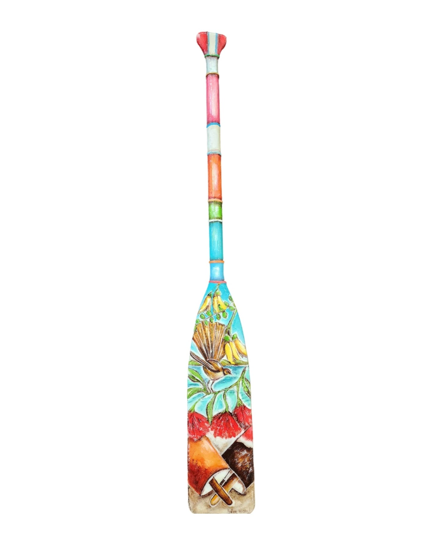 Natures Best Oar