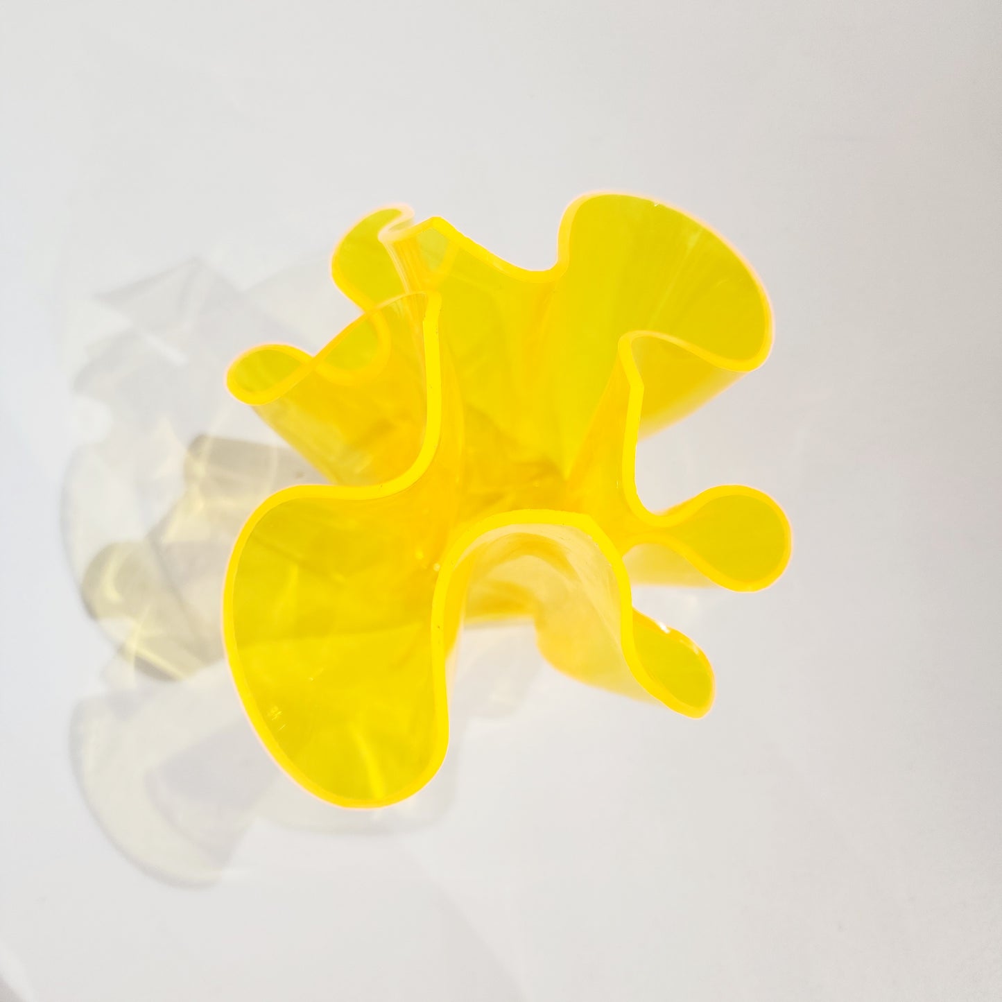 Transparent Fluorescent Yellow Flower Bloom