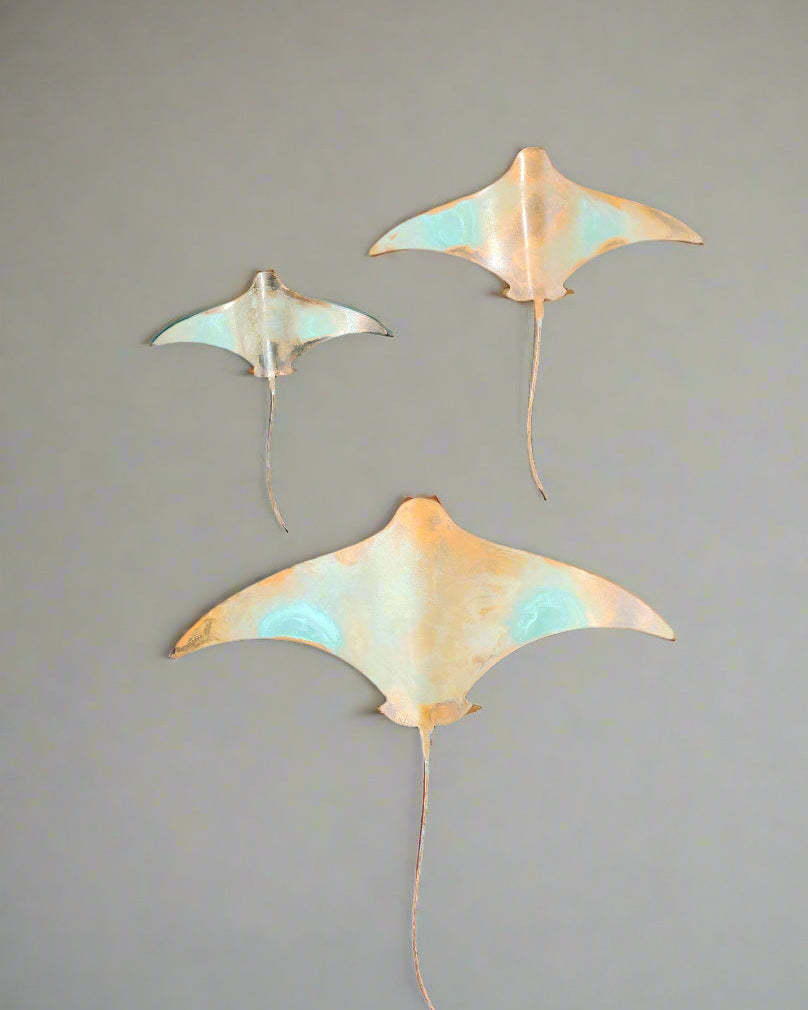 Set Of Three Stingrays