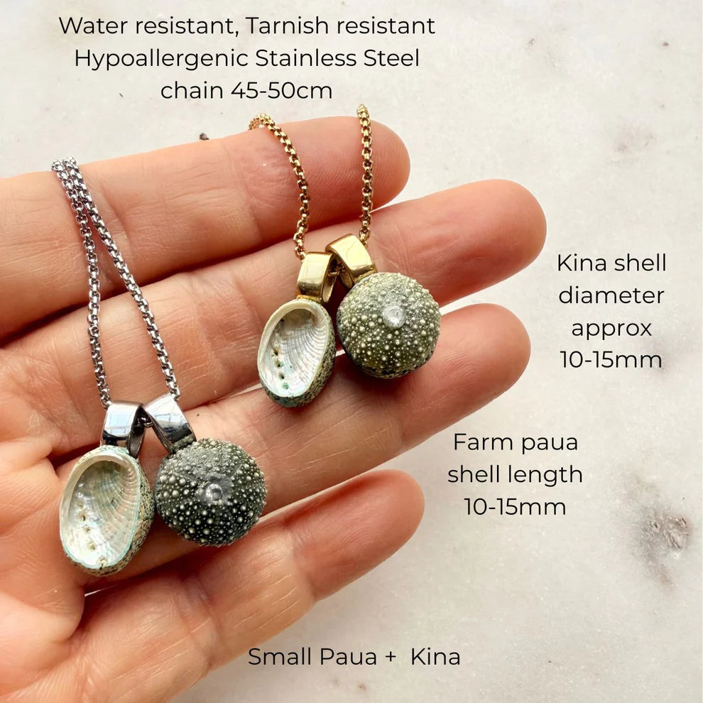 Pāua & Kina Shell Pair Necklace