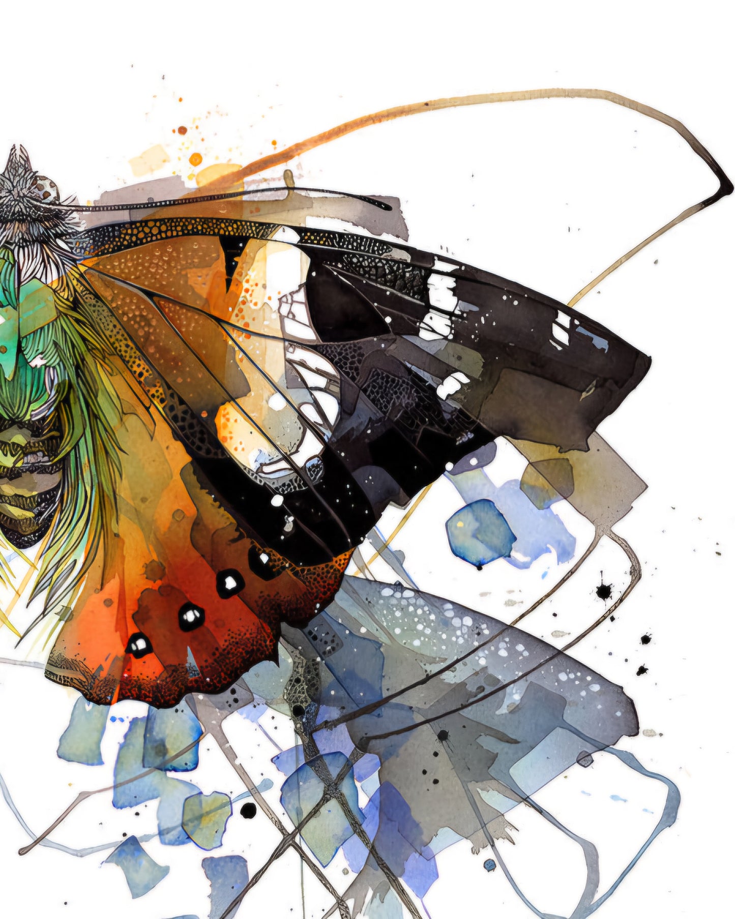 Kahukowhai Admiral Butterfly