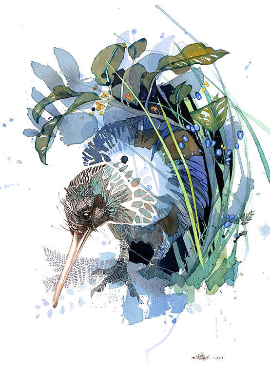 Box frame - Evening Kiwi