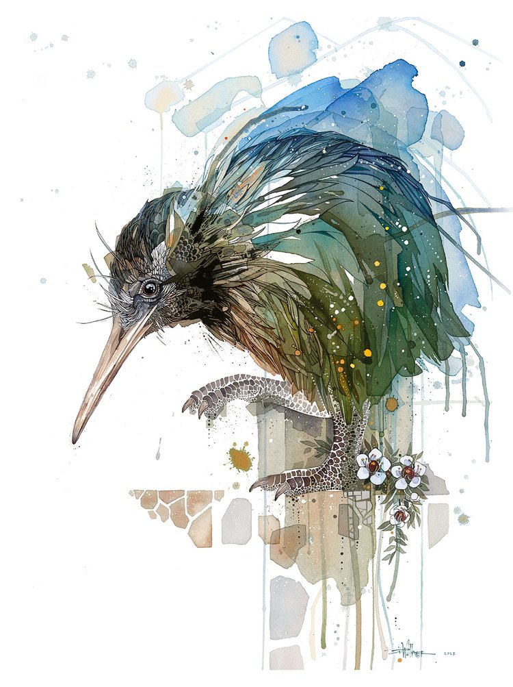 Kiwi (Capital)
