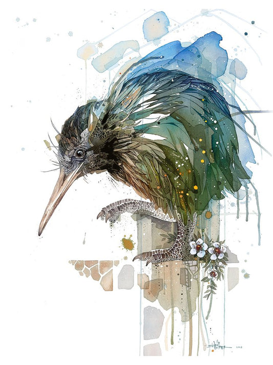 Kiwi (Capital)