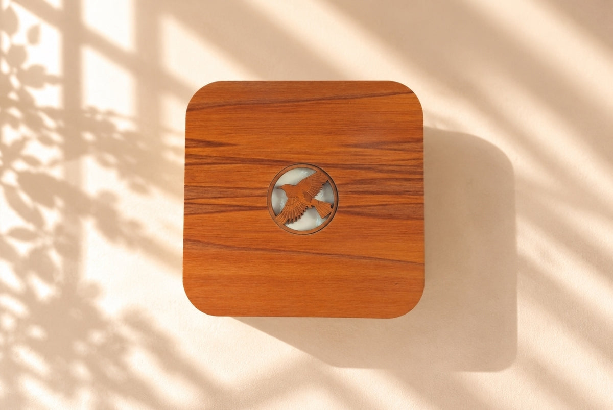 Deco-dent Jewellery Box