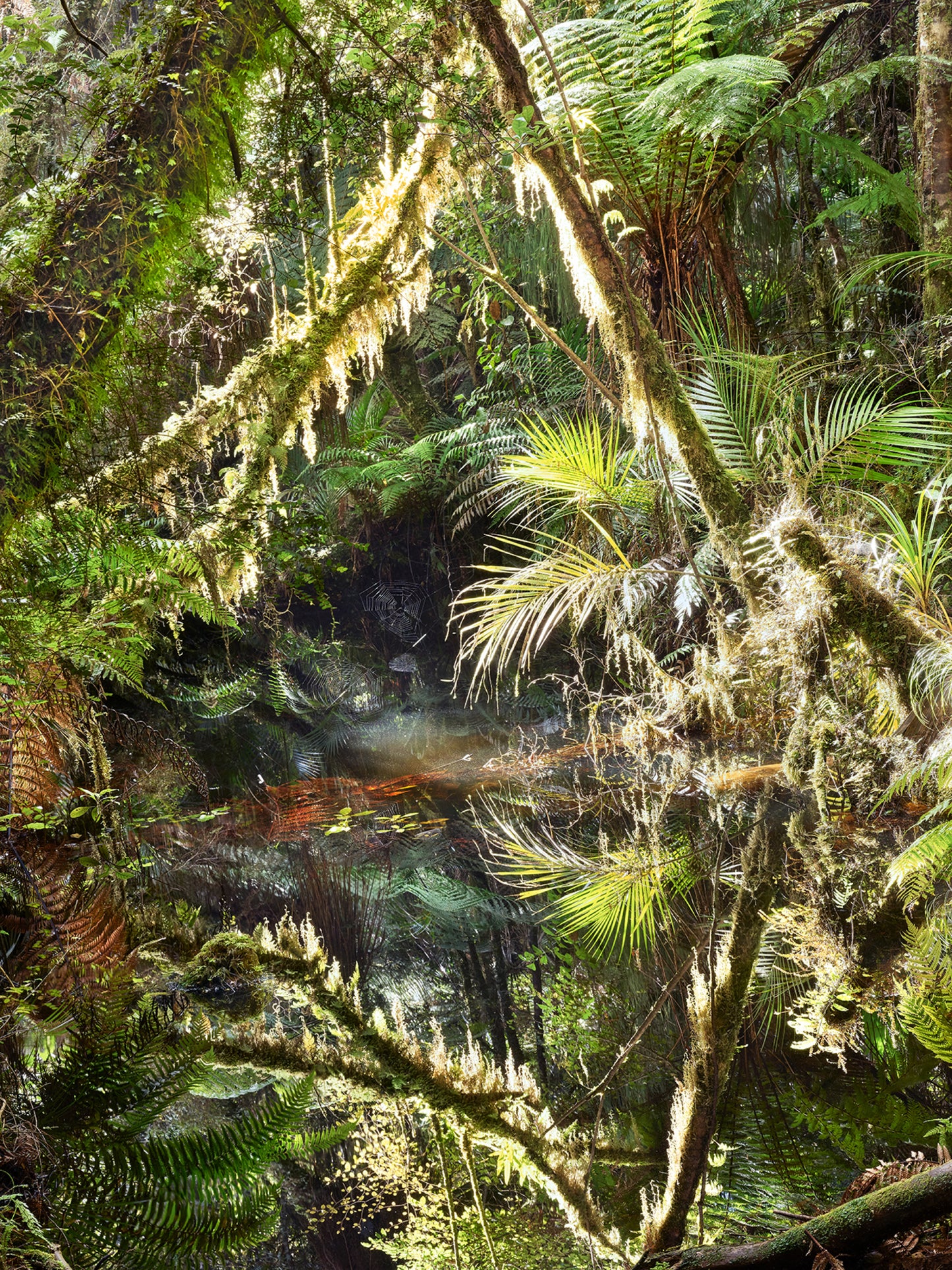 Deep in the Jungle