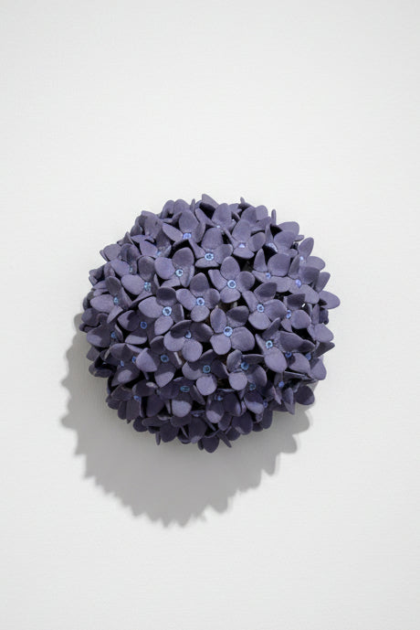 Hydrangea in Purple