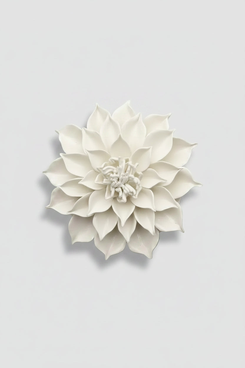Dahlia in White