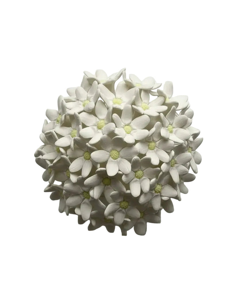 Daisy Dome in White
