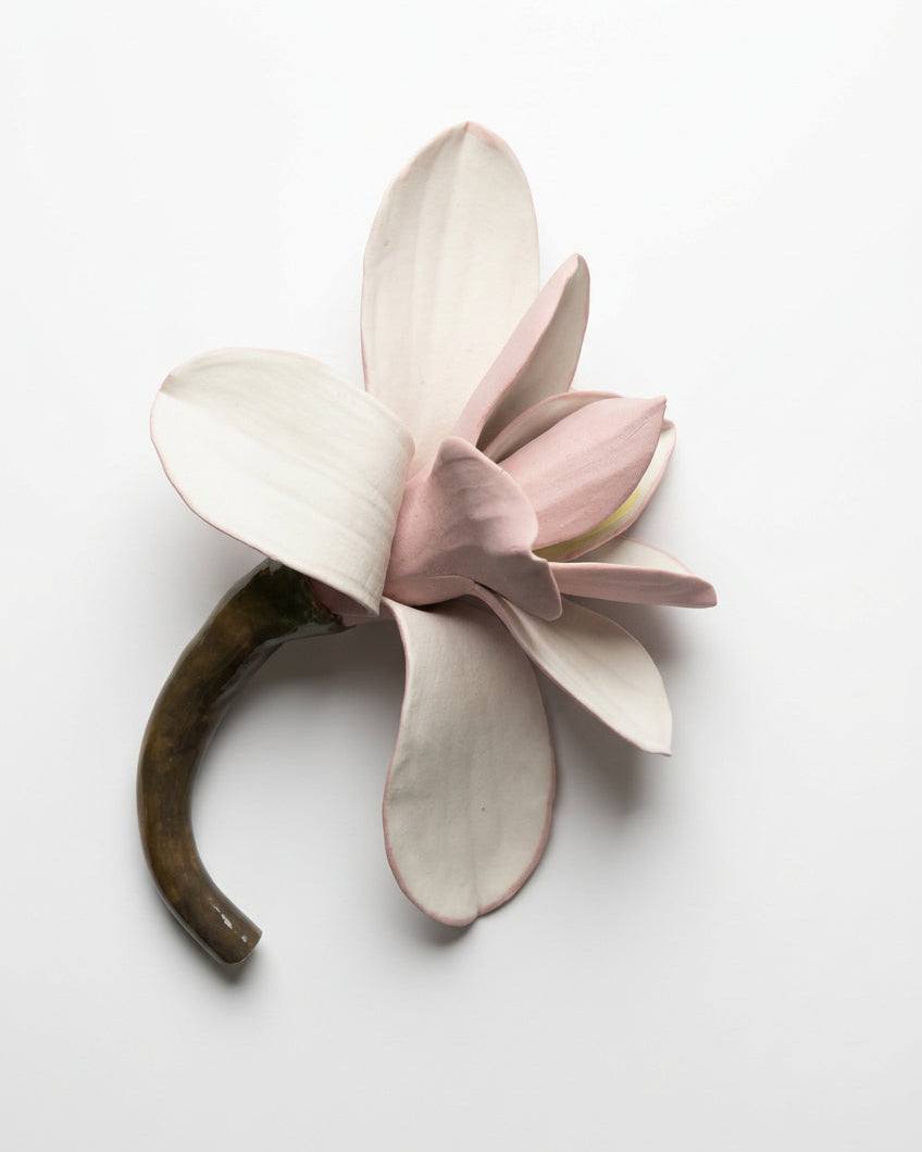 Magnolia in Pink