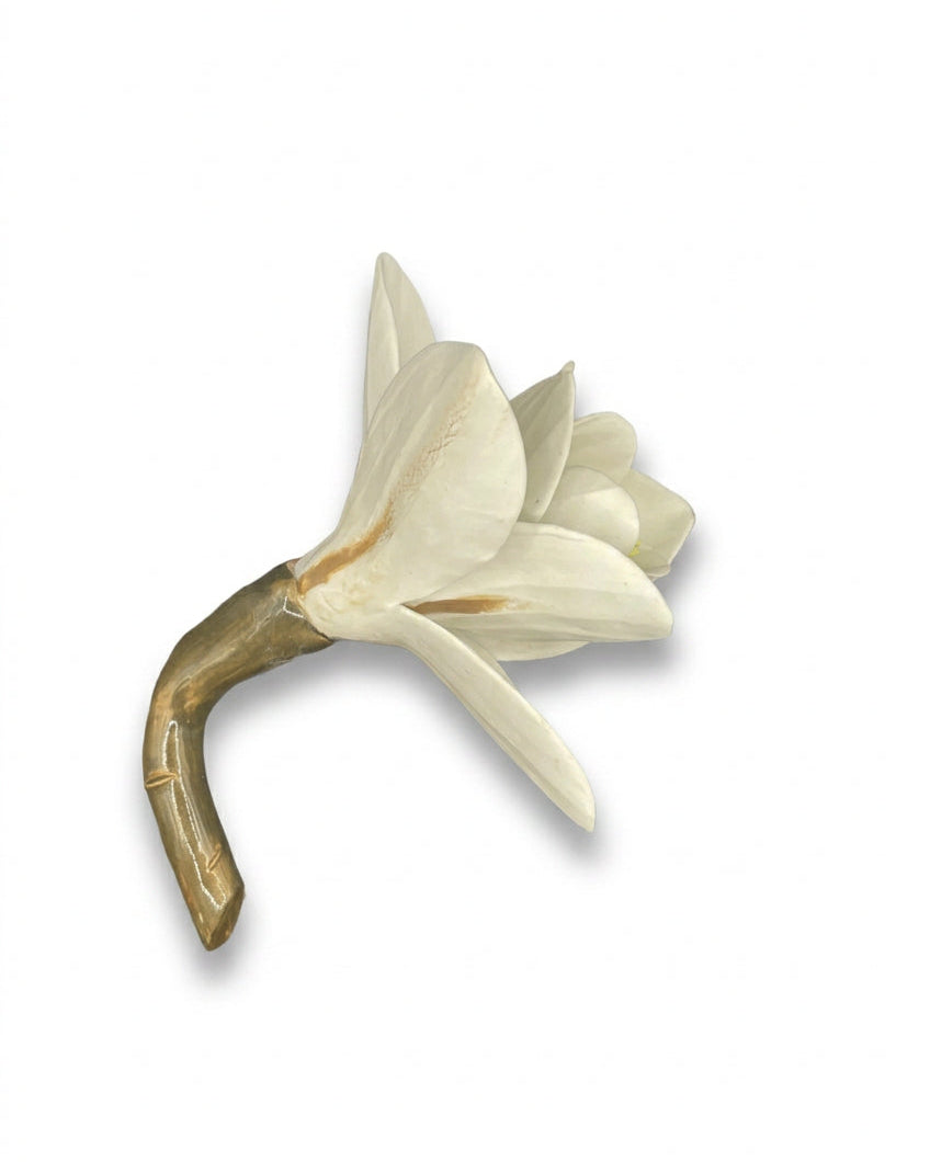 Magnolia in White