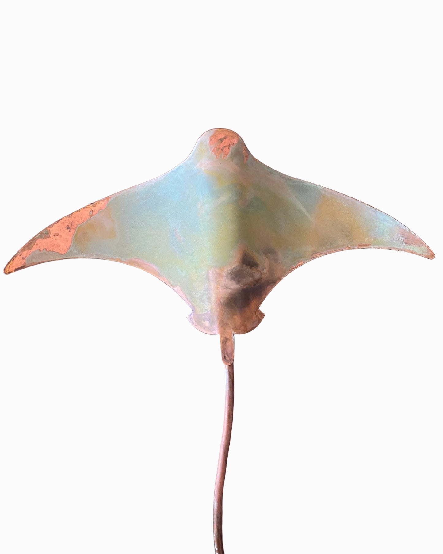 Stingrays - Set of four