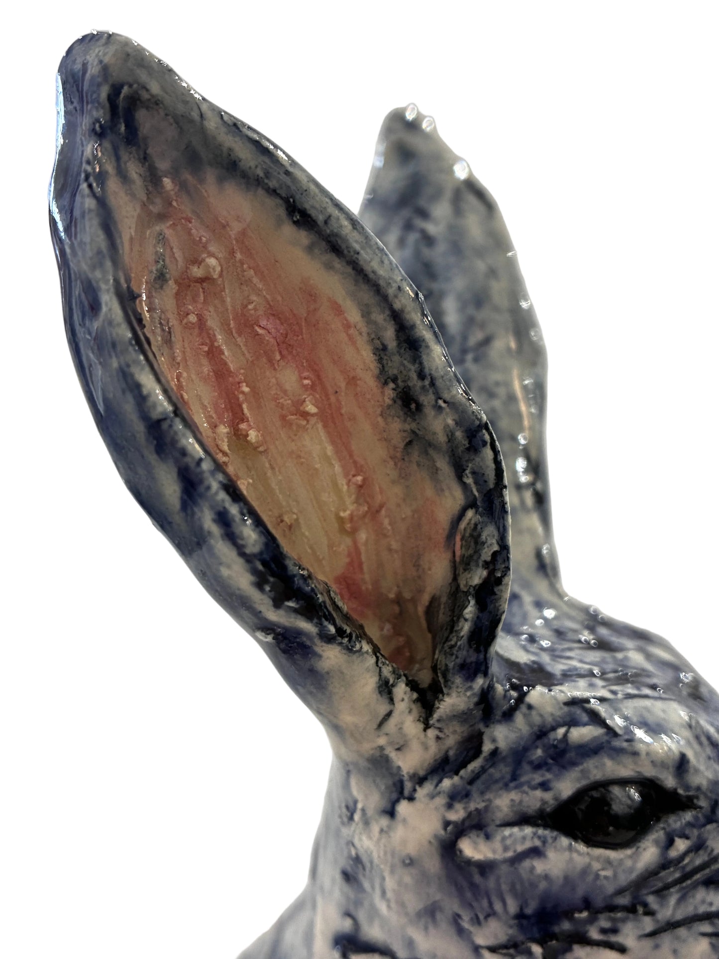 Large Hare