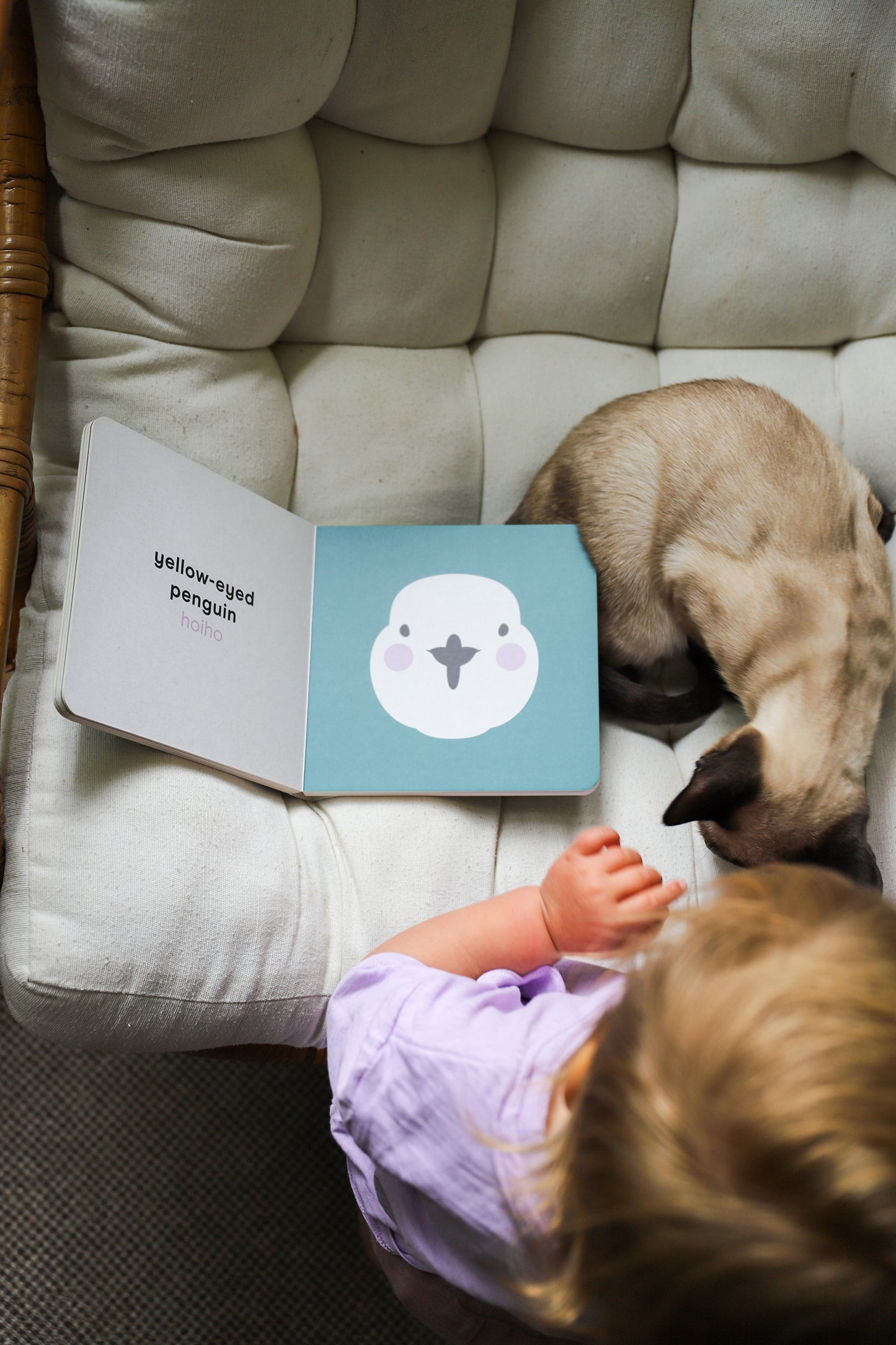 Native NZ Baby Meets Wildlife Book