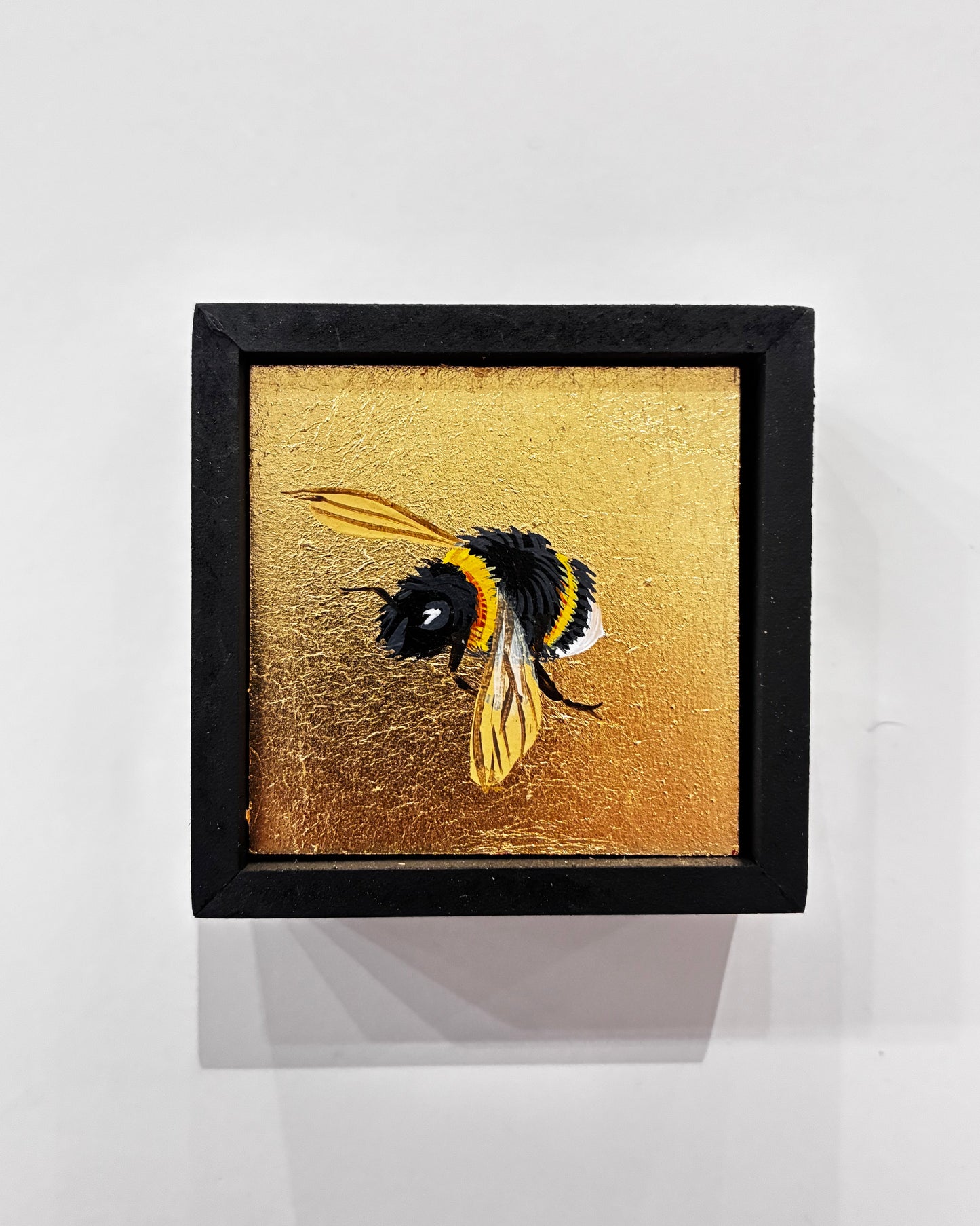 Wee Bee V