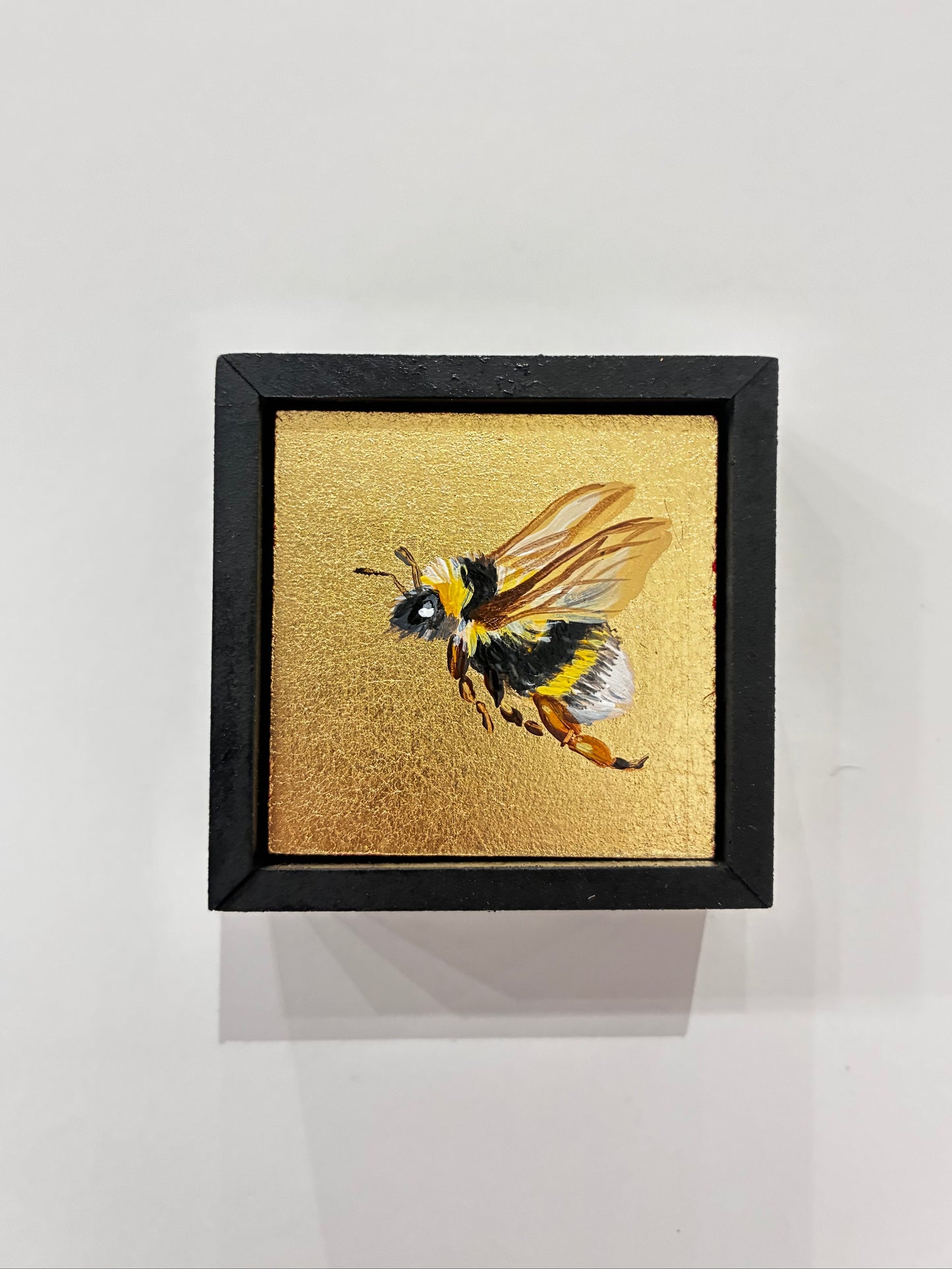 Wee Bee IV