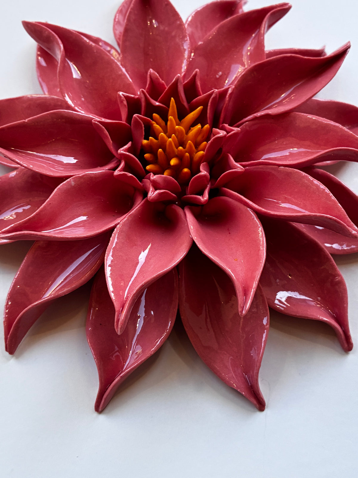 Dahlia in Rosy Pink Glazed