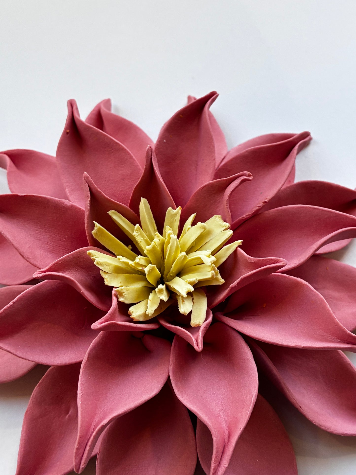 Dahlia in Rosy Pink Unglazed