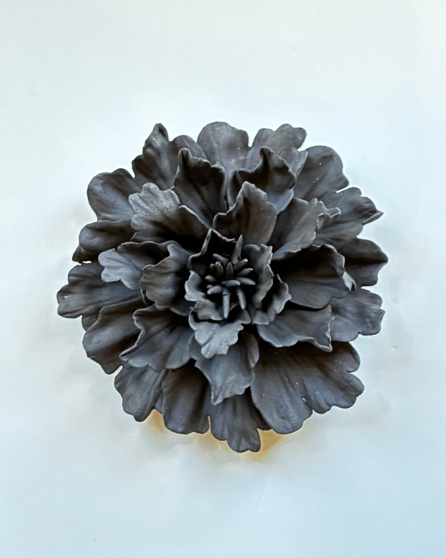 Peonies in Black