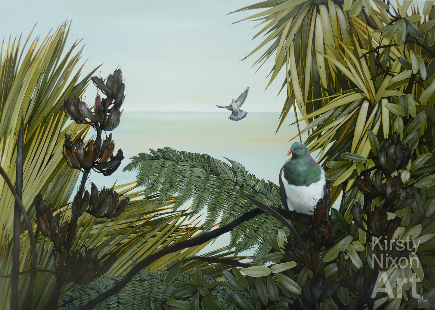 Kereru
