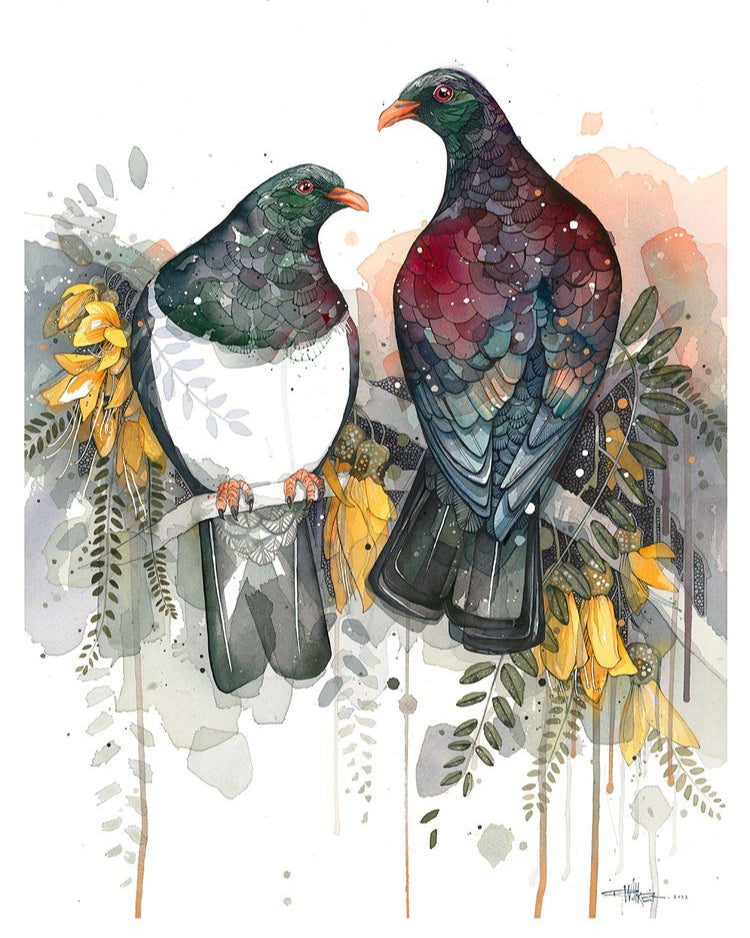 Kereru Pair At Dawn