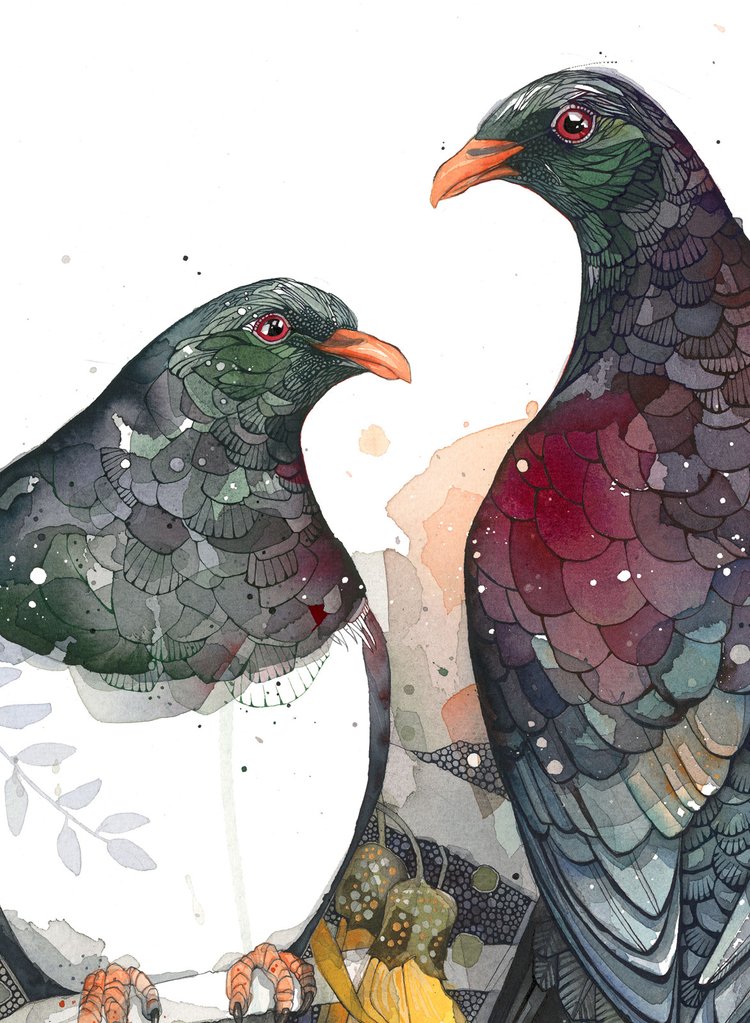 Kereru Pair At Dawn