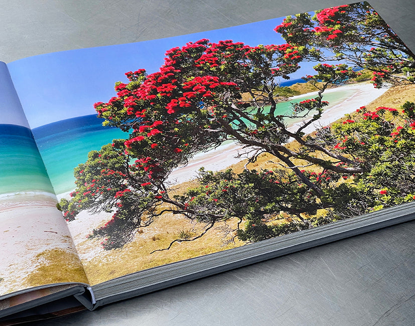 Book "Land of Light" Signed collector's edition