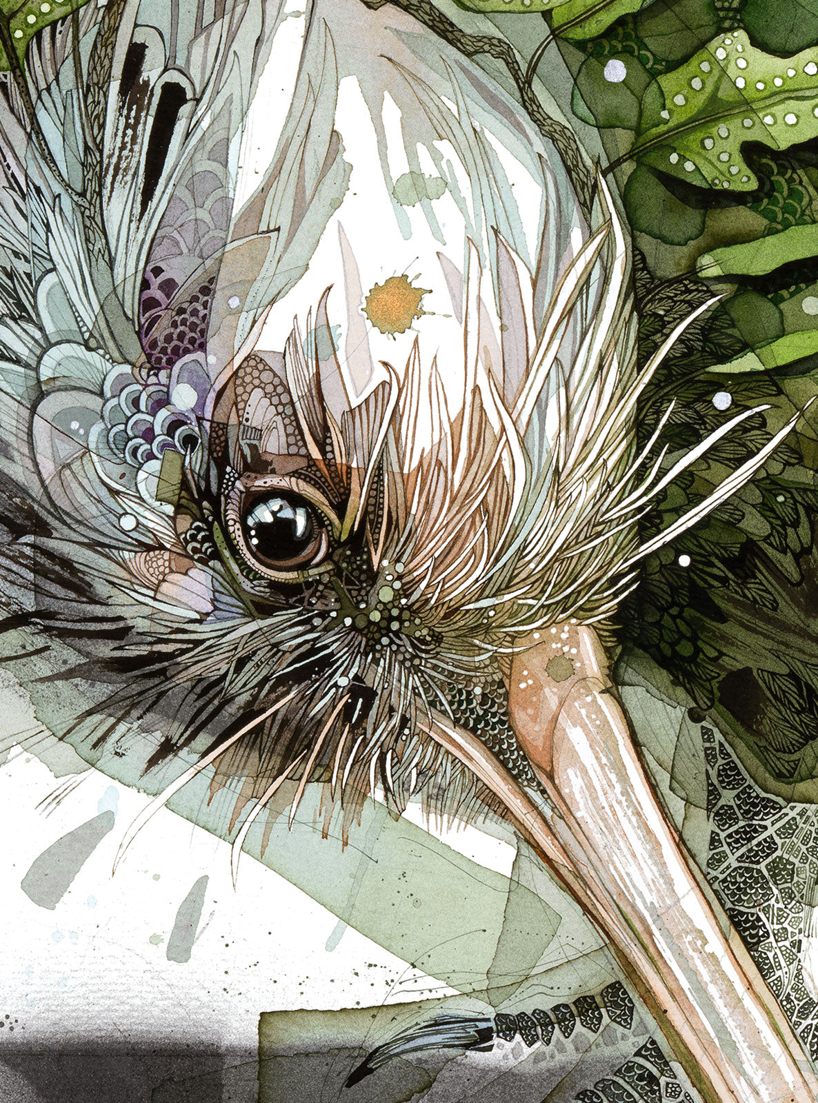 Mossy Kiwi