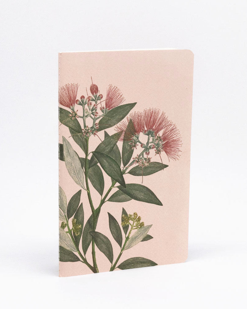 Vintage Botanical Notebooks