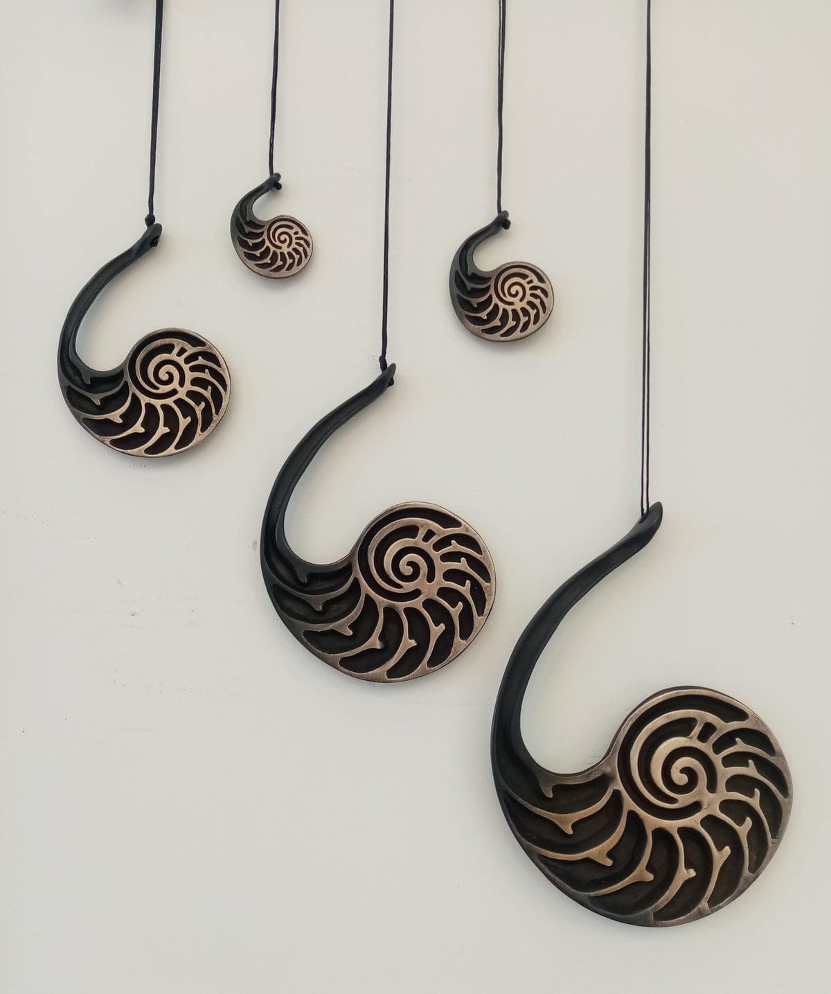 Nautilus