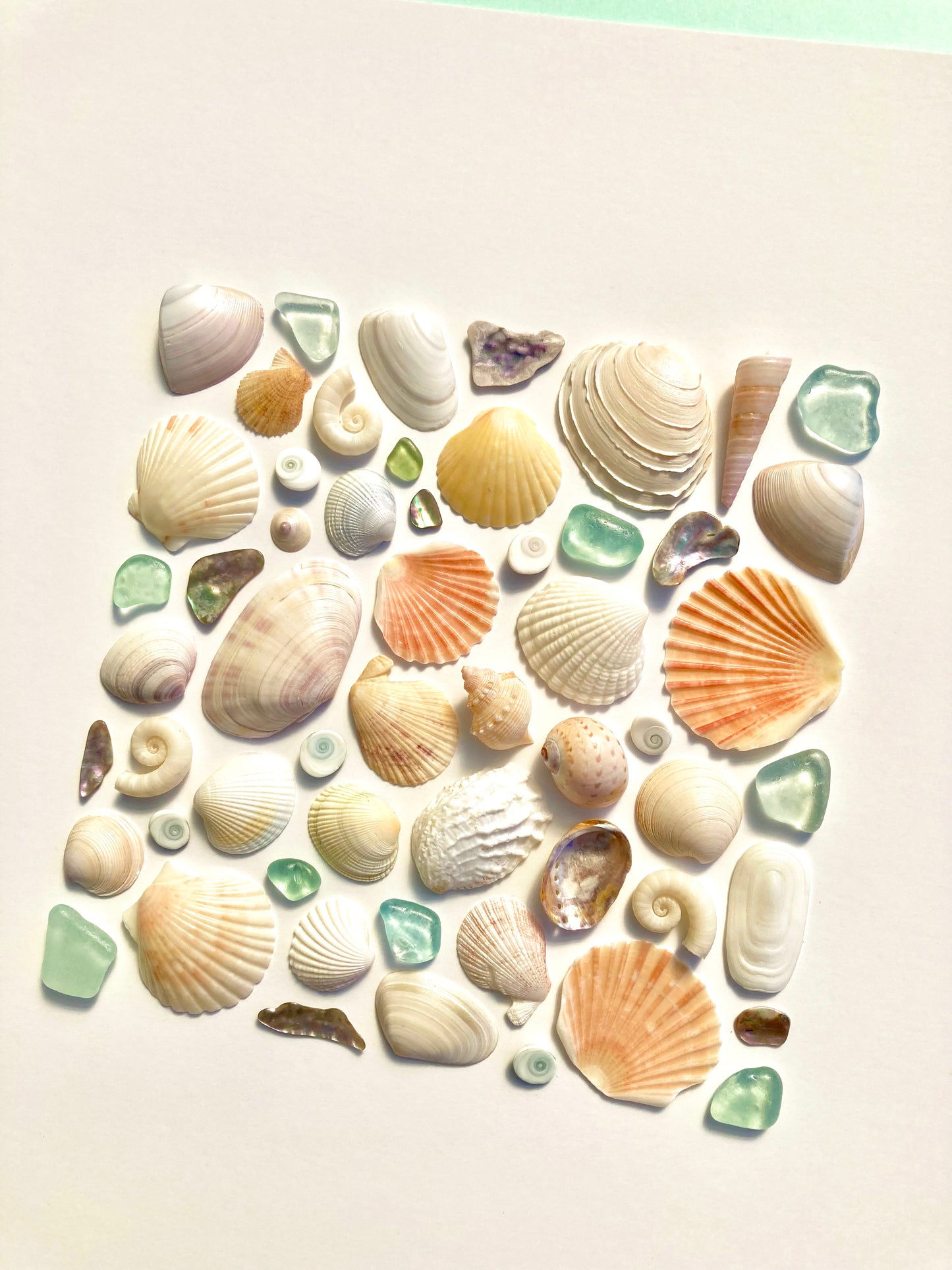 Pretty Delicates I