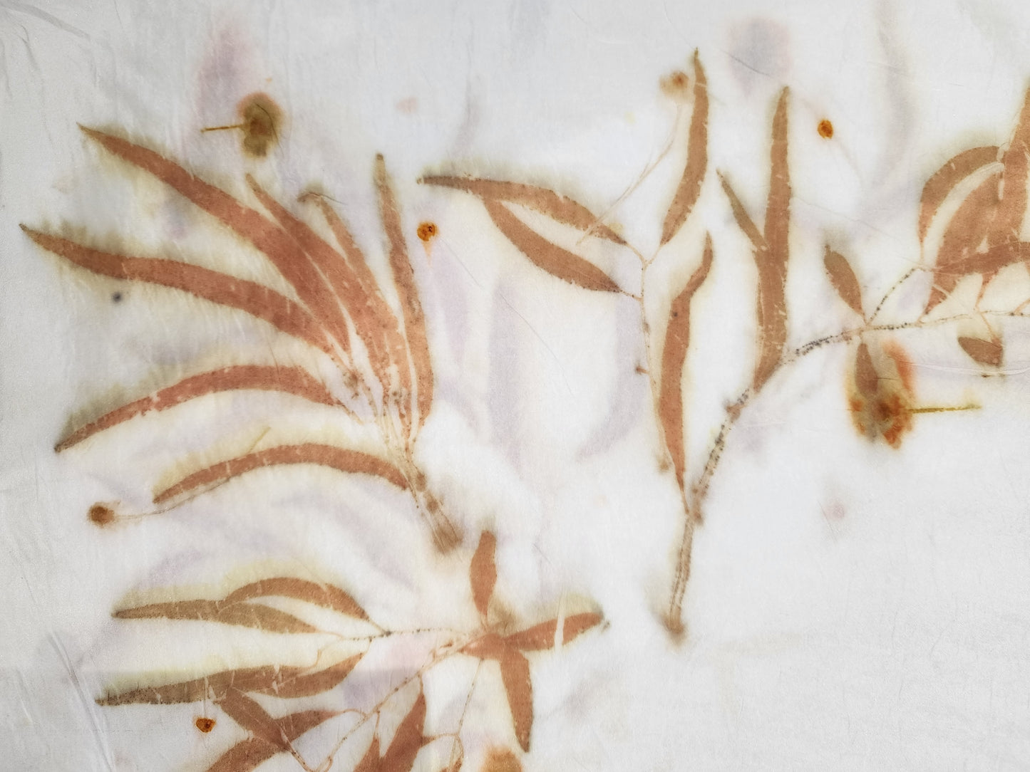 Peppermint Gum Leaves Silk Scarf