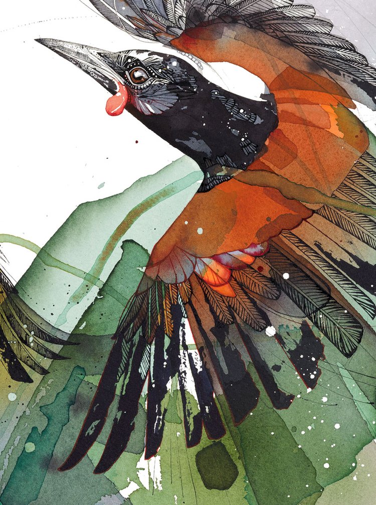 Sanctuary (Feat. Hihi & Saddleback/Tieke)