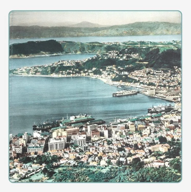 Whites Aviation Cushion Cover - Wellington