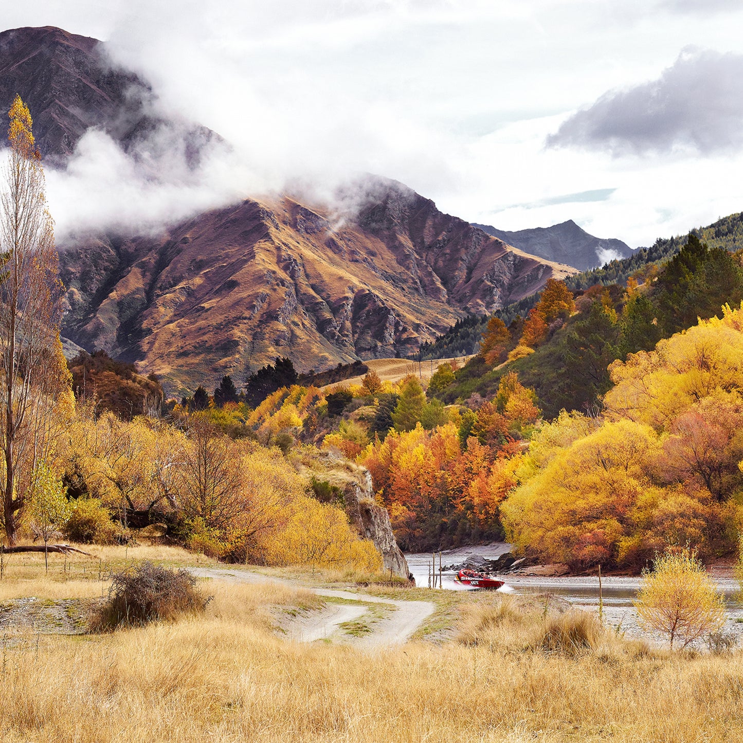 Shotover Gold