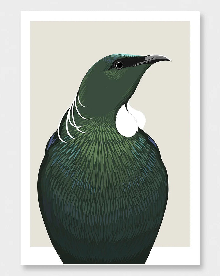 Tui Profile