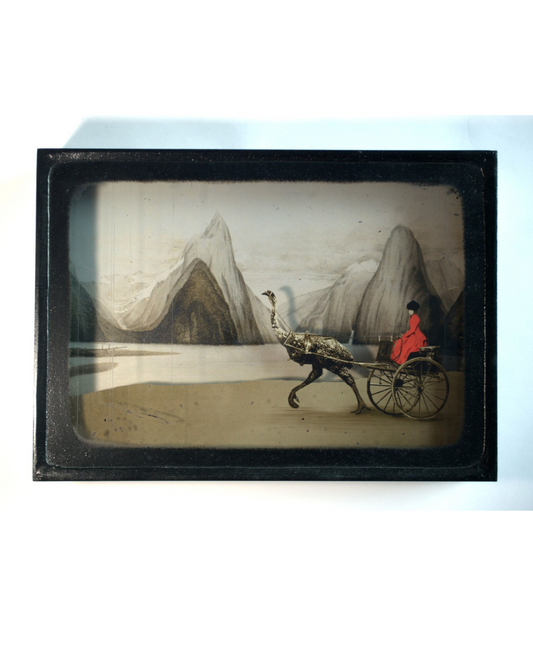 Moa Diorama - Scene 2 Dusk Over Milford Sound