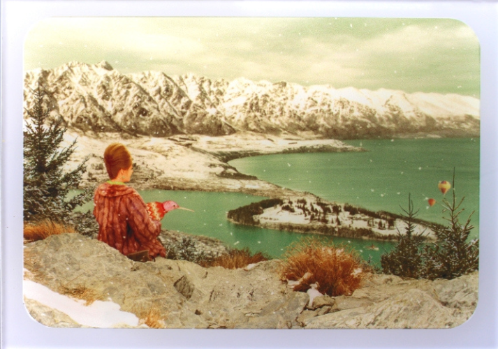 Kiwi Scenes - Seasons