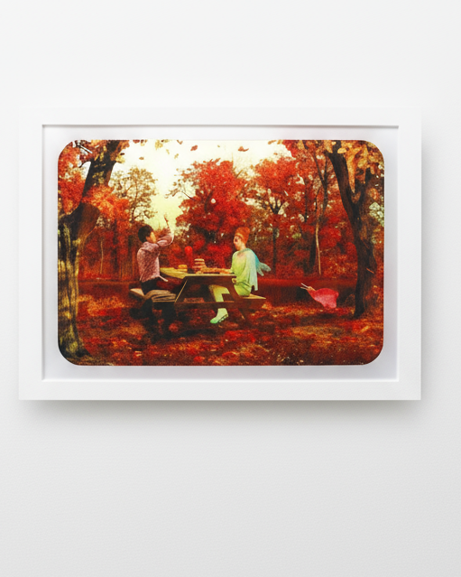 Kiwi Scenes - Seasons