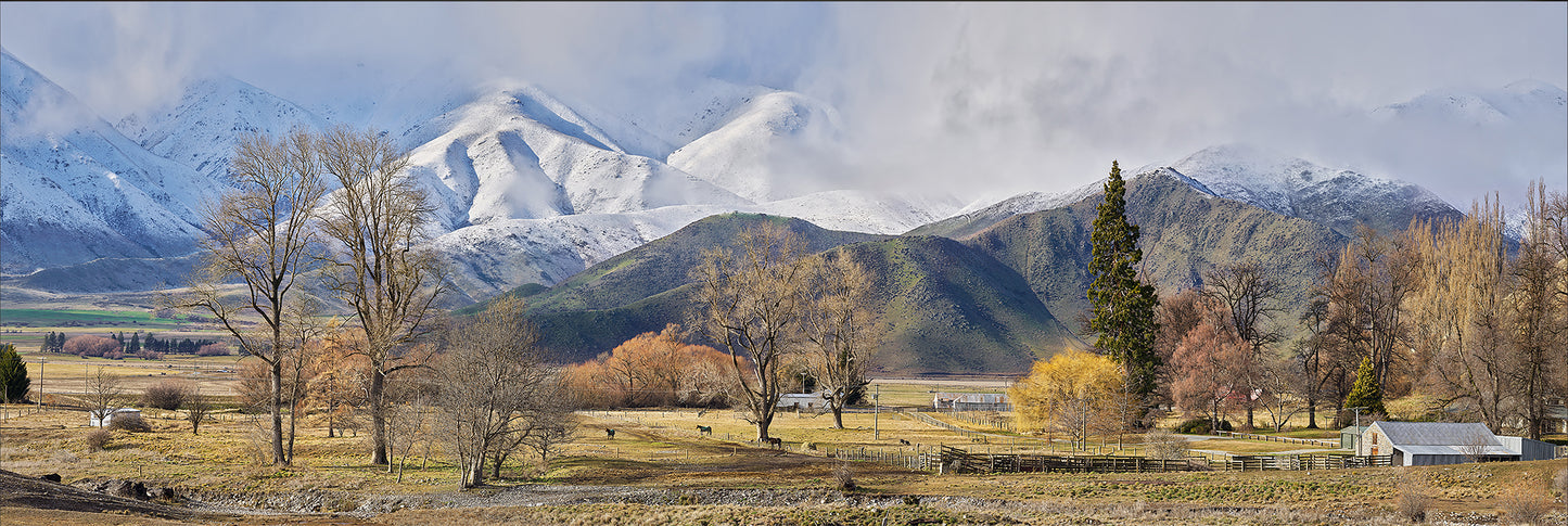Winter's Arrival