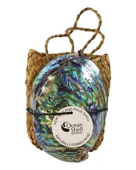 Paua Shell in Flax Bag