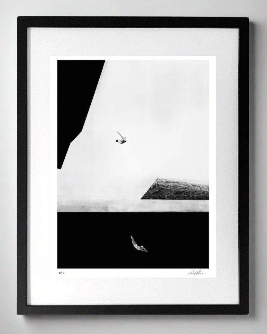 Limited edition print - Freestyle