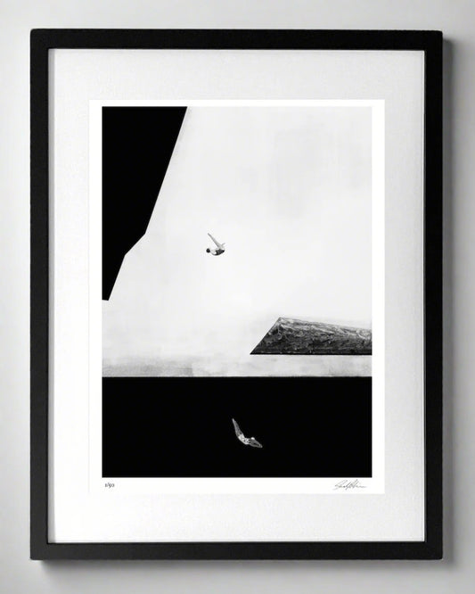 Limited edition print - Freestyle