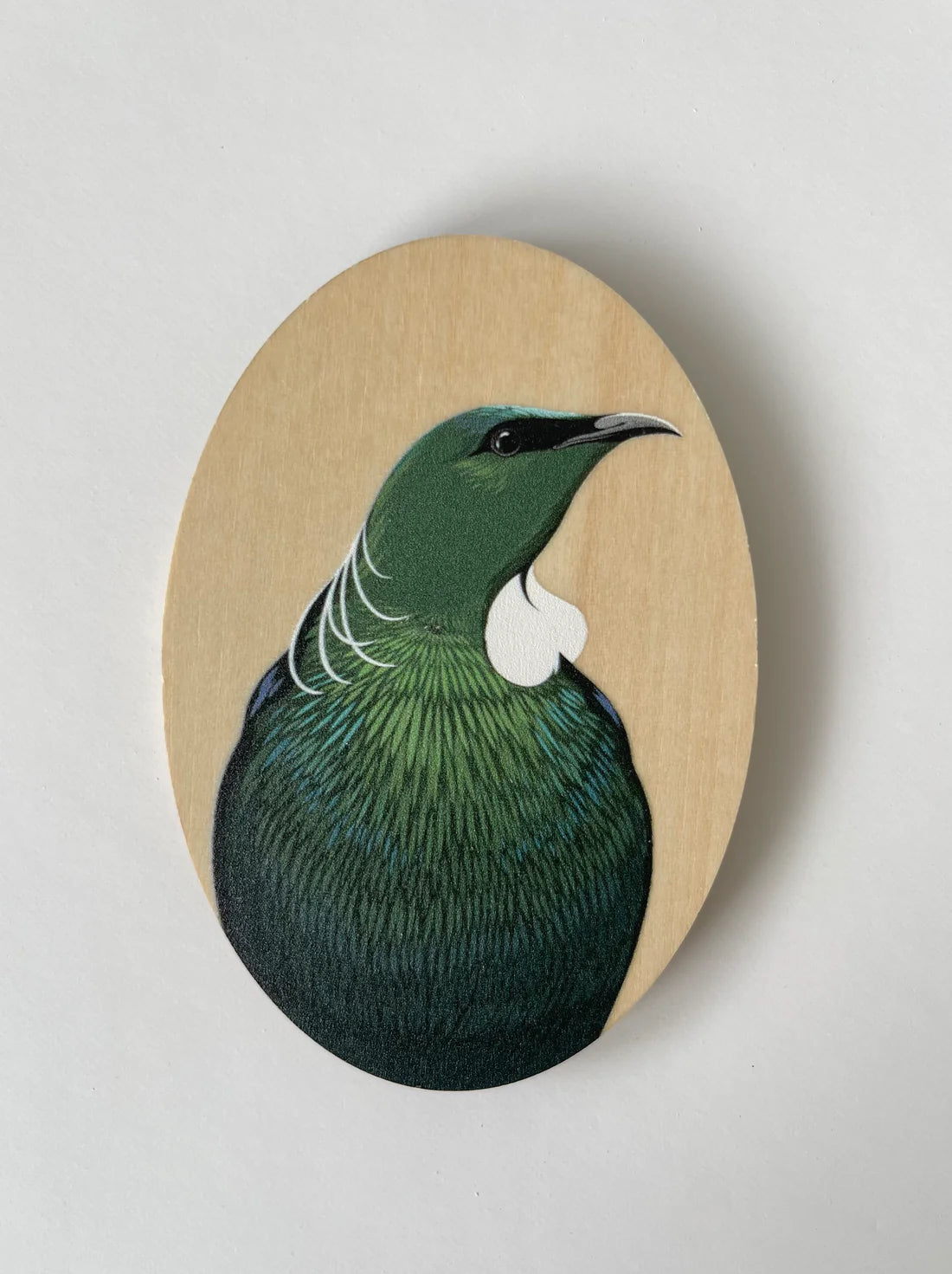 Oval Bird Magnets