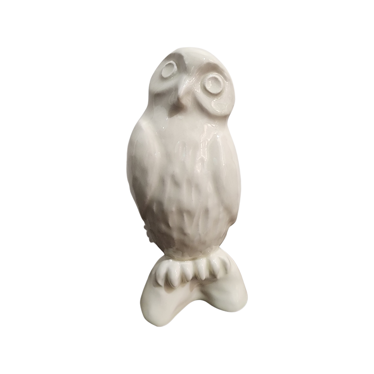 Ruru Owl in White